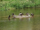 DSCN7852