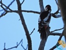 www.nasiptaci.info