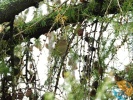 www.nasiptaci.info