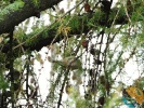www.nasiptaci.info