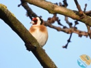 www.nasiptaci.info