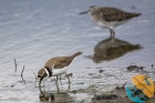 www.nasiptaci.info