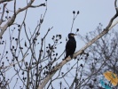 www.nasiptaci.info