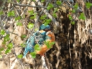 www.nasiptaci.info
