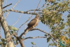 motak_stepni_nasiptaci.info_2026-10-13_4N