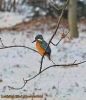 30-12-2014-park-31-2c668c8ef0209e181ebd75f0607a3932e62410e6