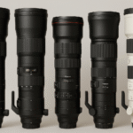 Průvodce objektivy na fotografování ptáků